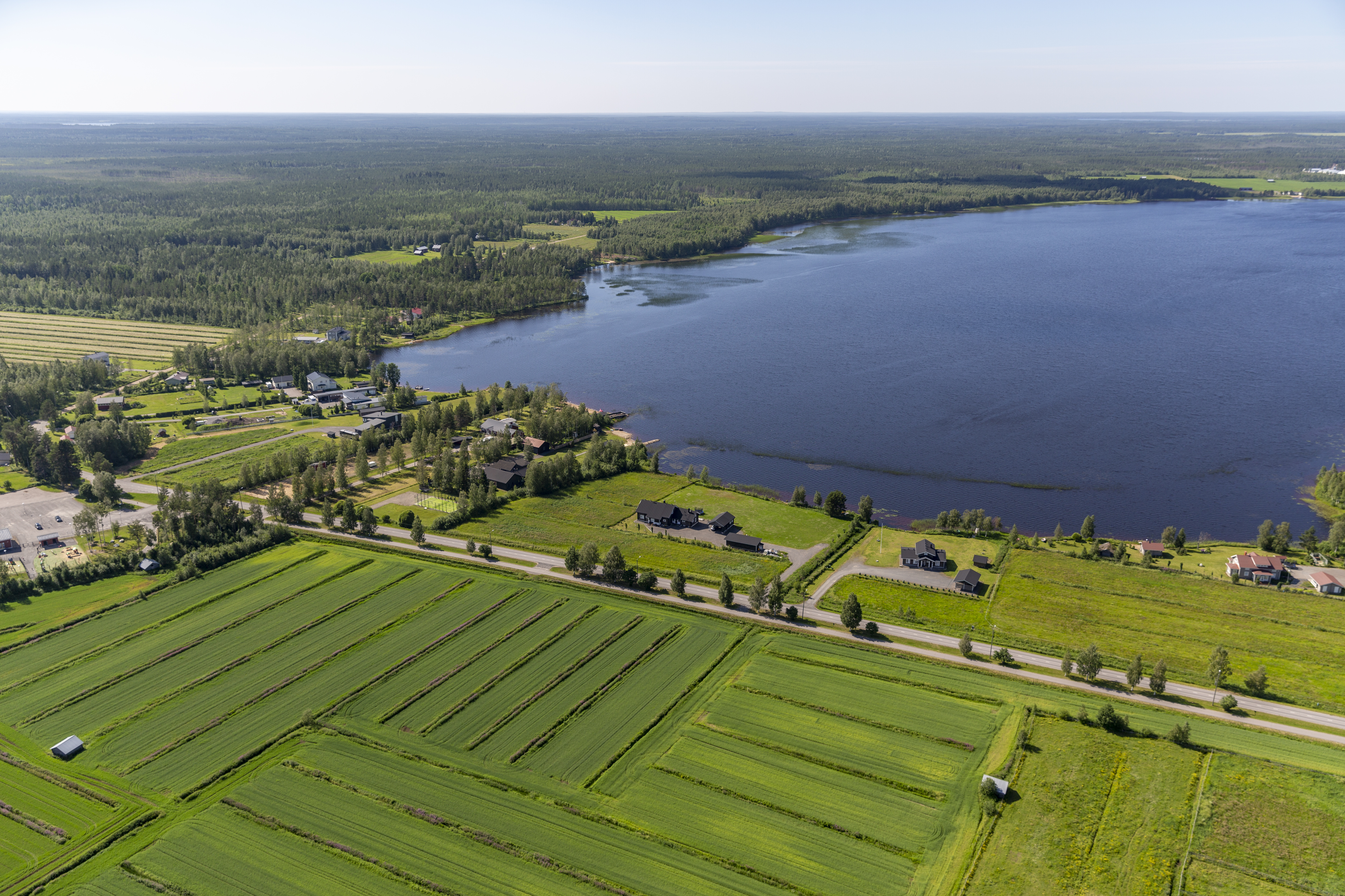 peltoa, pyhännänjärvi, taloja