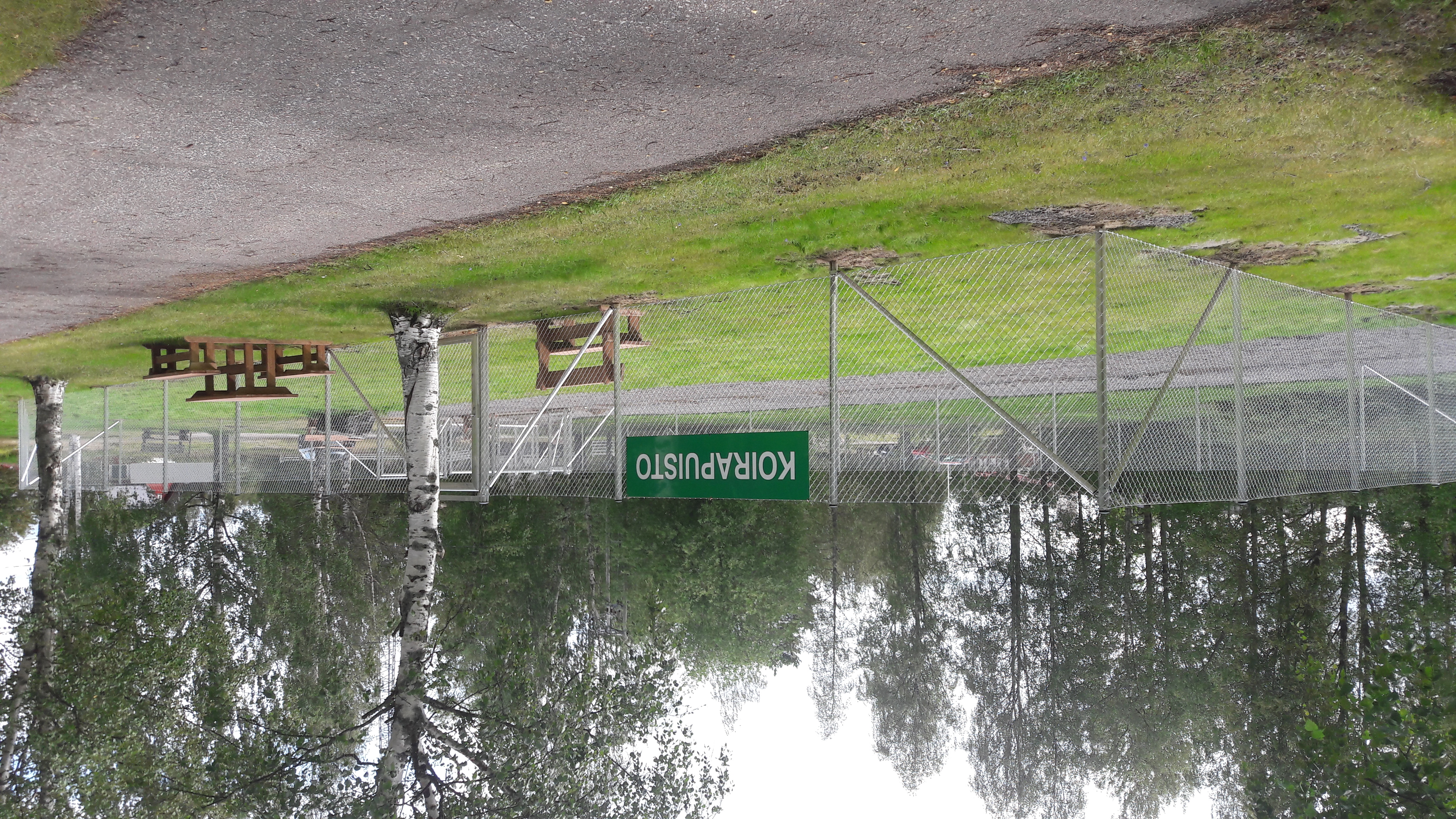 Koirapuisto