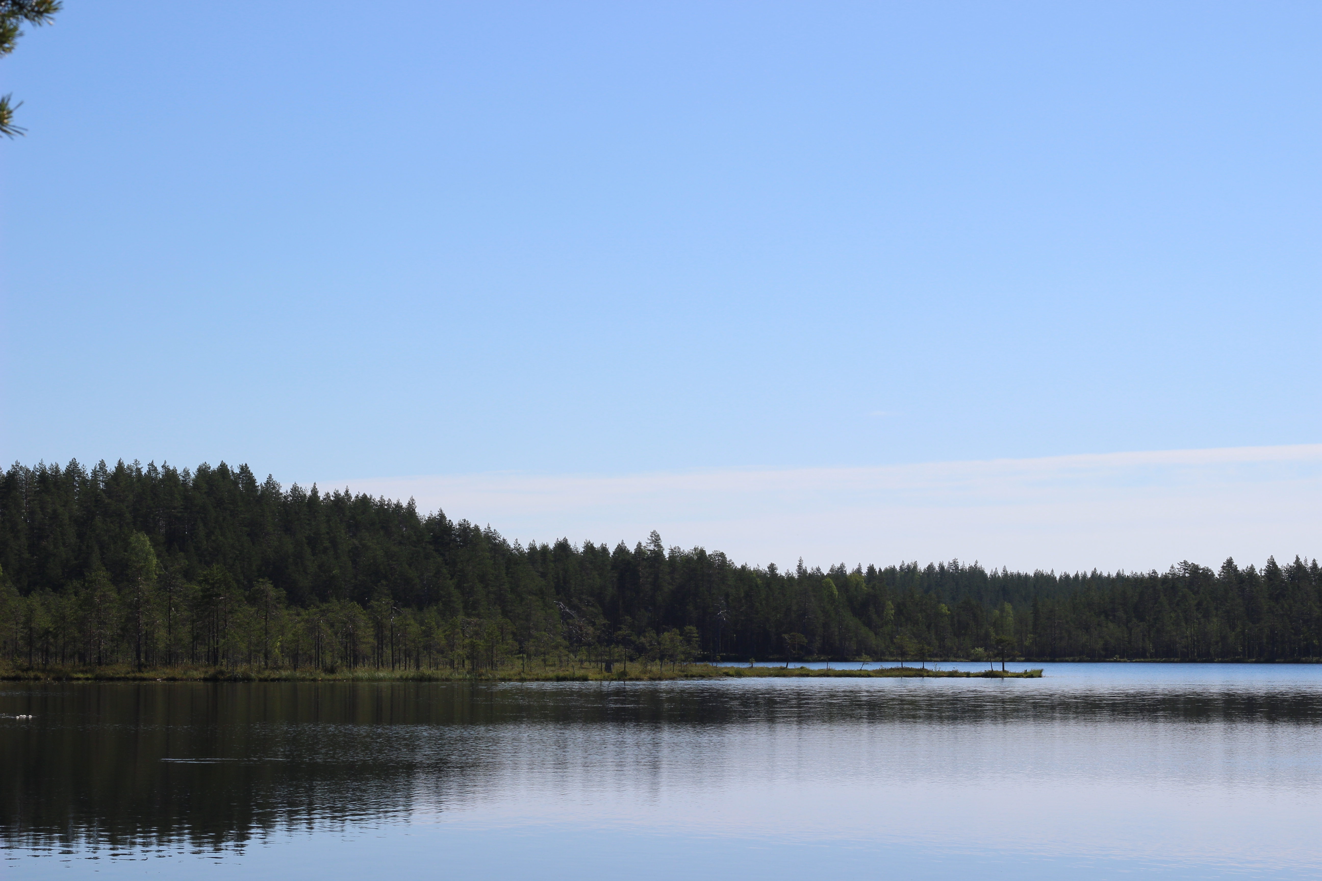 Ahvenjärvi