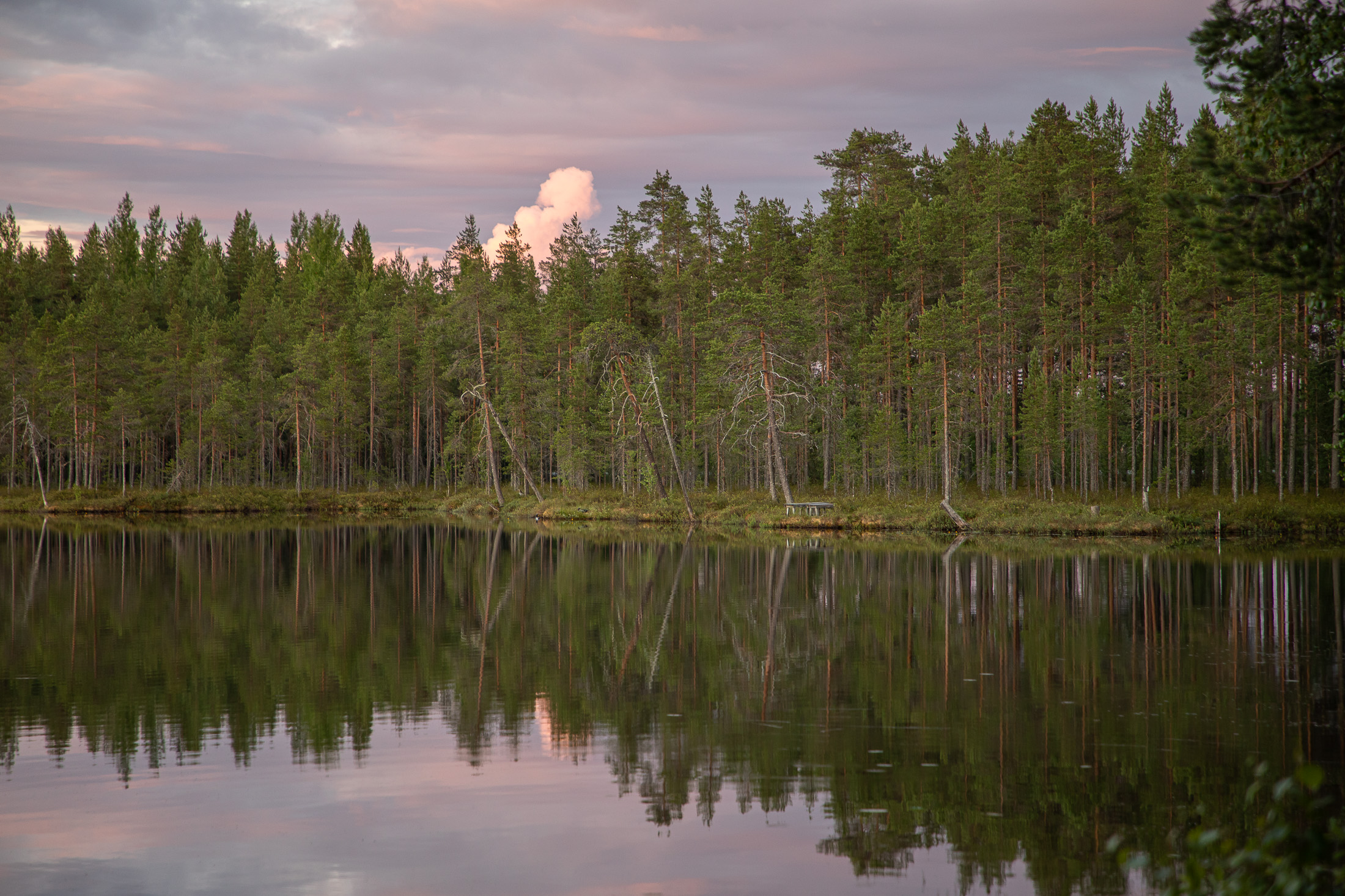 Kontiolampi