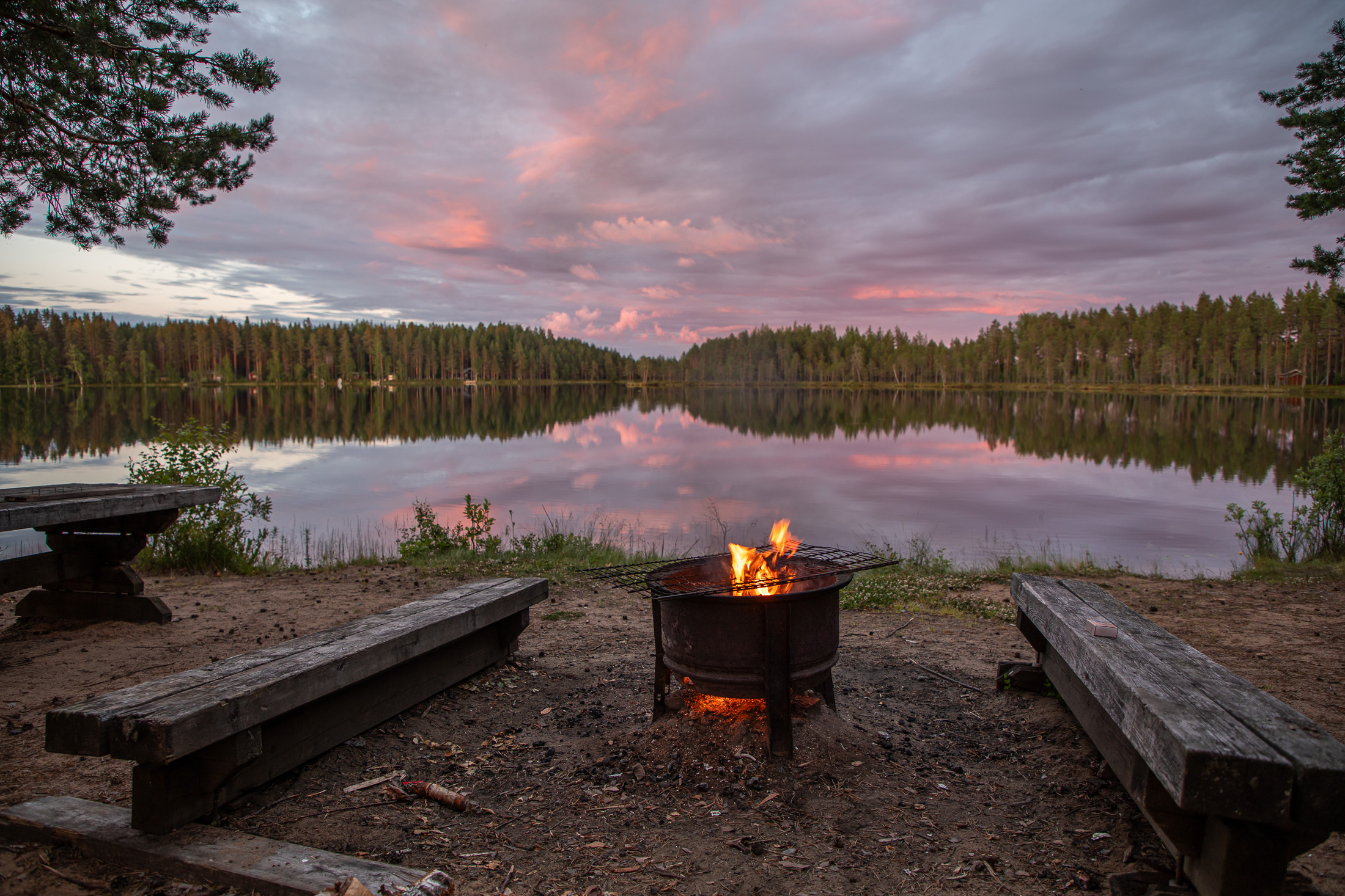 Kontiolammen ranta