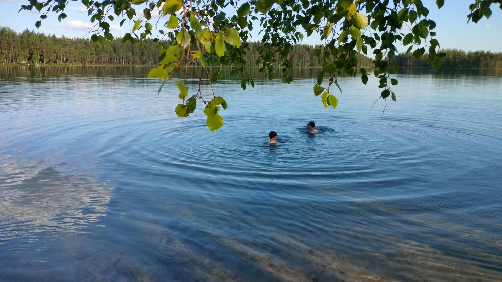 Uimareita vedessä