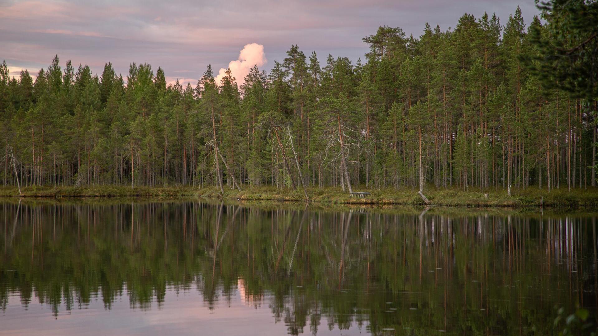 Kontiolammen maisemaa