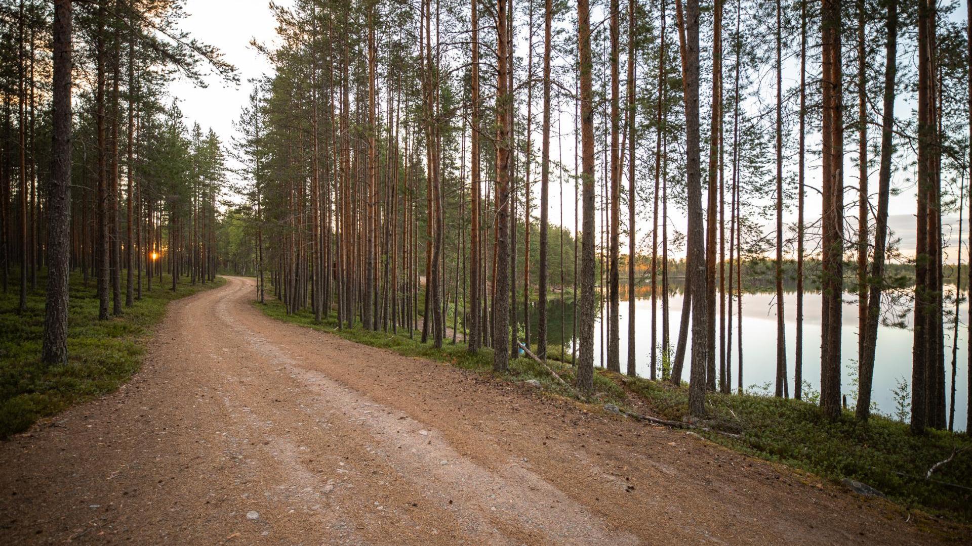 Ulkoliikuntareitti järven rannalla