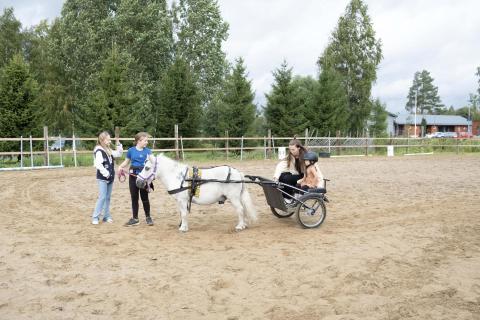 Perttulinpäivät 2024