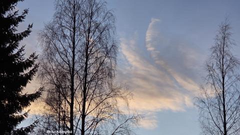 Pilvi taivaalla