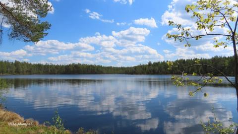 Järvenranta maisema