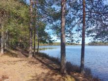 Kontiolampi