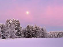 Vaaleanpunainen hetki