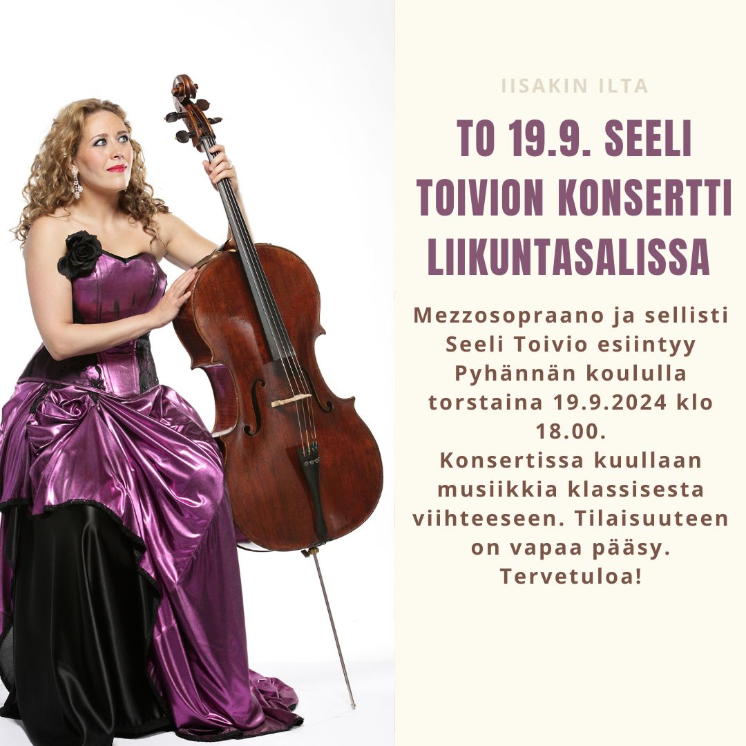 seeli toivion mainos